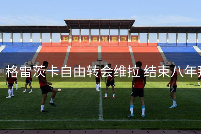 格雷茨卡自由转会维拉 结束八年拜仁征程