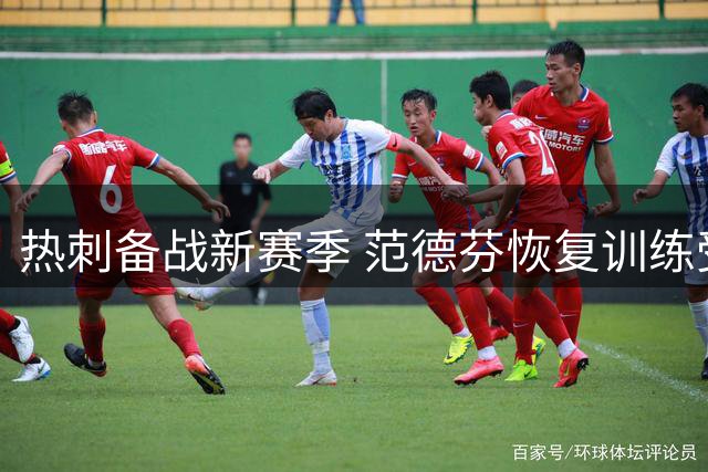 热刺备战新赛季 范德芬恢复训练受限